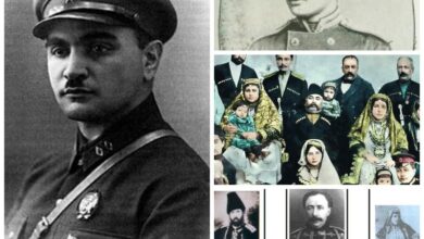 cəmşid naxçıvanski kimdir