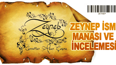 zeyneb adinin menasi