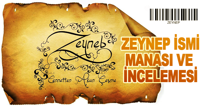 zeyneb adinin menasi