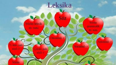 leksik menasi olan sozler