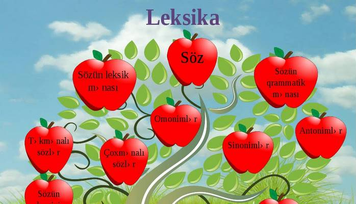 leksik menasi olan sozler