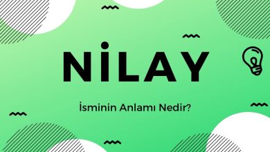 nilay adinin menasi