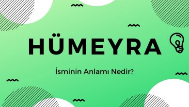 humeyra adinin menasi
