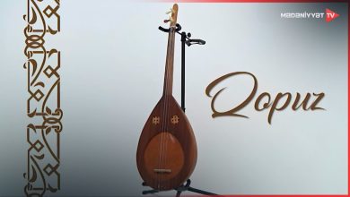 qopuz sozunun menasi