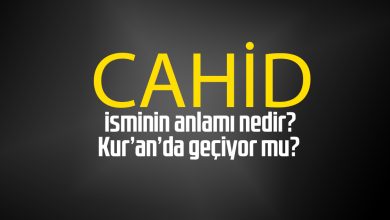 cahid adinin menasi