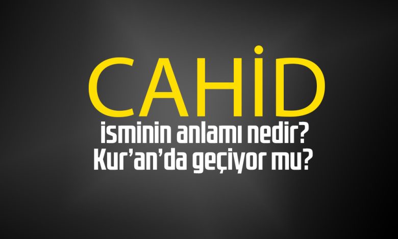 cahid adinin menasi