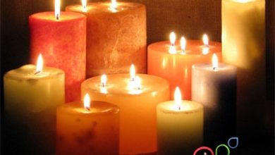 rengli samlarin menasi