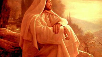 turbe sozunun menasi