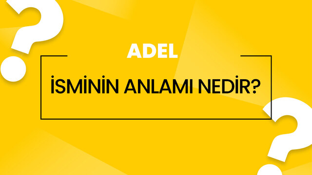 adel adinin menasi