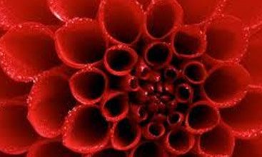 qirmizi rengin menasi