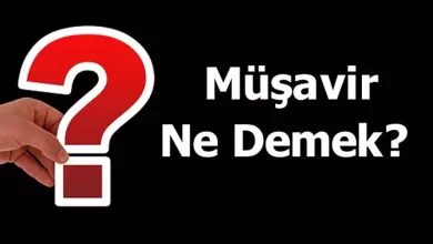 musavir sozunun menasi