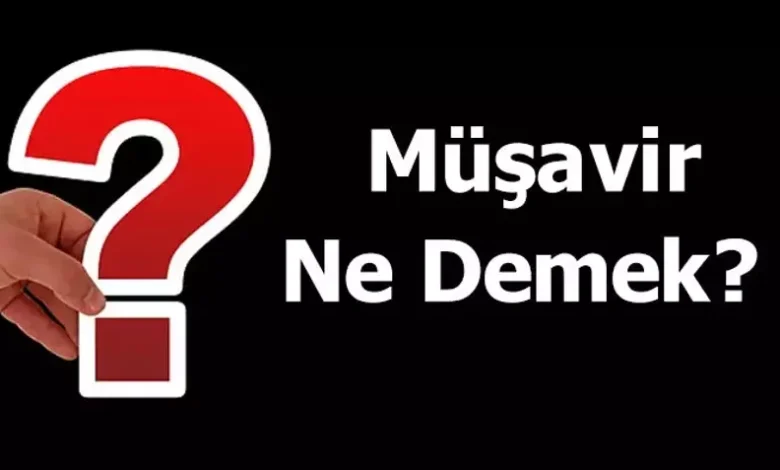 musavir sozunun menasi