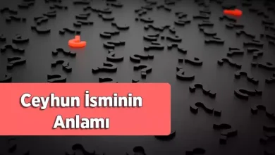 ceyhun adinin menasi