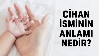 cihan adinin menasi