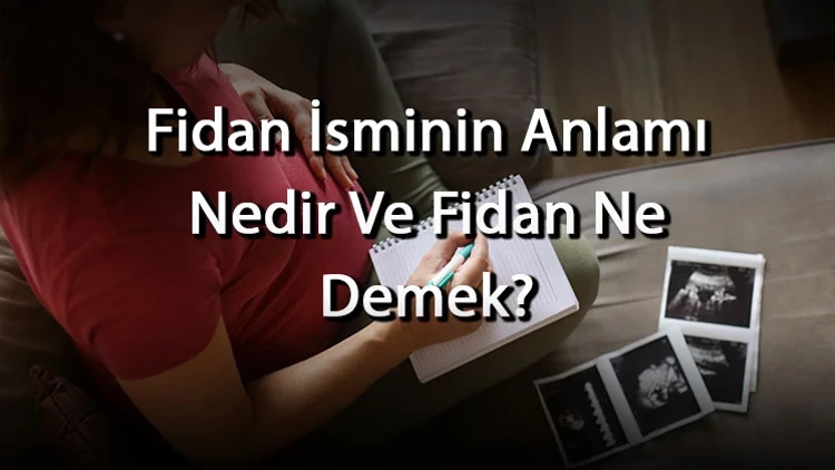 fidan adinin menasi