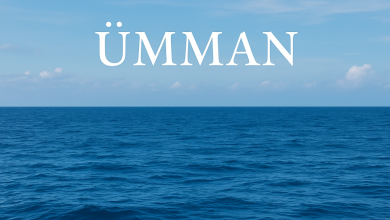 ümman sozunun menasi