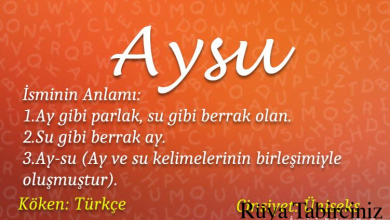 aysu adinin menasi