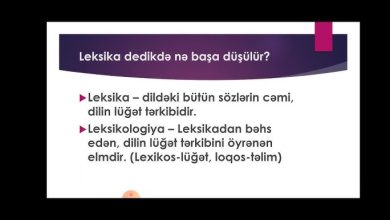 stenoqrafiya sozunun leksik menasi