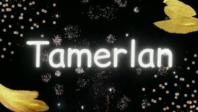 tamerlan adinin menasi