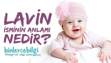 lavin adinin menasi