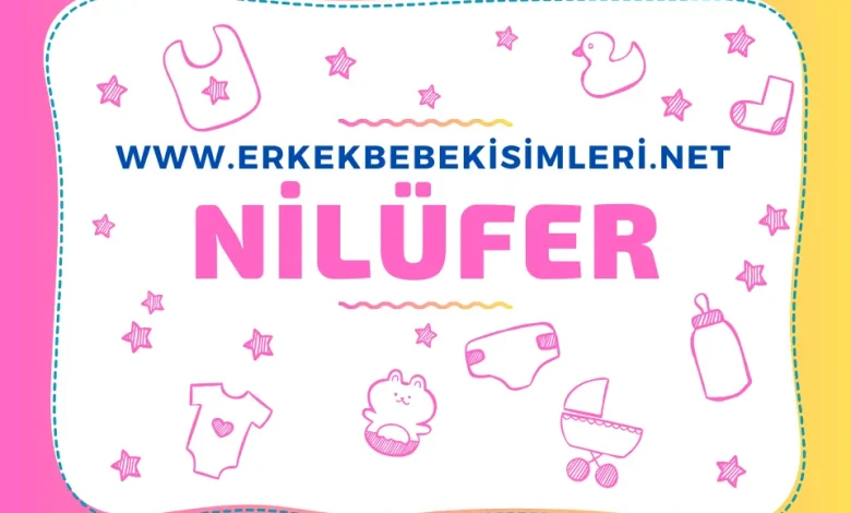 nilufer adinin menasi