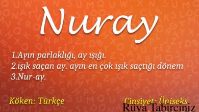 nuray adinin menasi