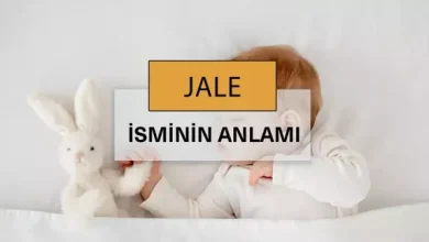 Jale adinin menasi