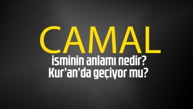 camal adinin menasi