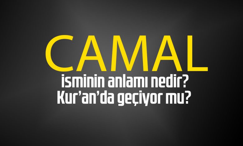 camal adinin menasi