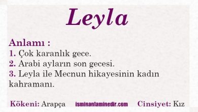 leyla sozunun menasi