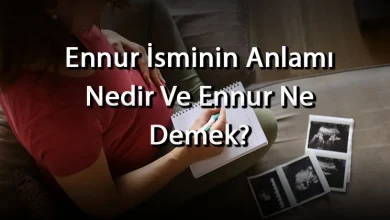 elnur adinin menasi