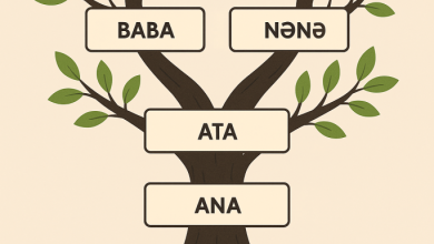 nesil sozunun menasi