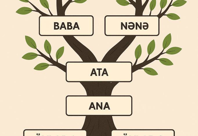 nesil sozunun menasi