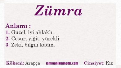 zumra adinin menasi