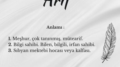 arif sozunun menasi
