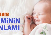 elnare adinin menasi