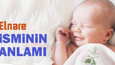 elnare adinin menasi