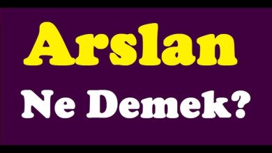 arslan adinin menasi