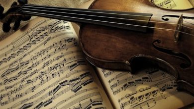 oktava sozunun menasi