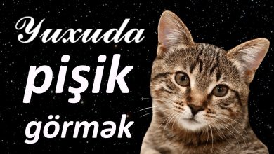 yuxuda pisik gormek menasi