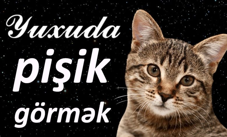 yuxuda pisik gormek menasi