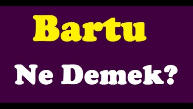 bartu adinin menasi