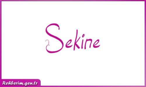 sekine adinin menasi